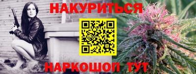 стаф Будённовск