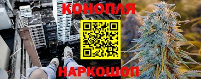 стаф Будённовск