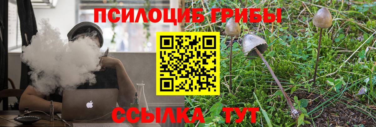 Псилоцибиновые грибы мицелий Тутаев